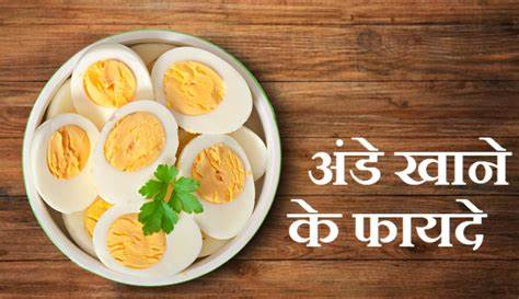 Egg tips: उबले अंडे को खाने के क्या-क्या फायदे होते हैं और इसे कितनी देर में खाना चाहिए